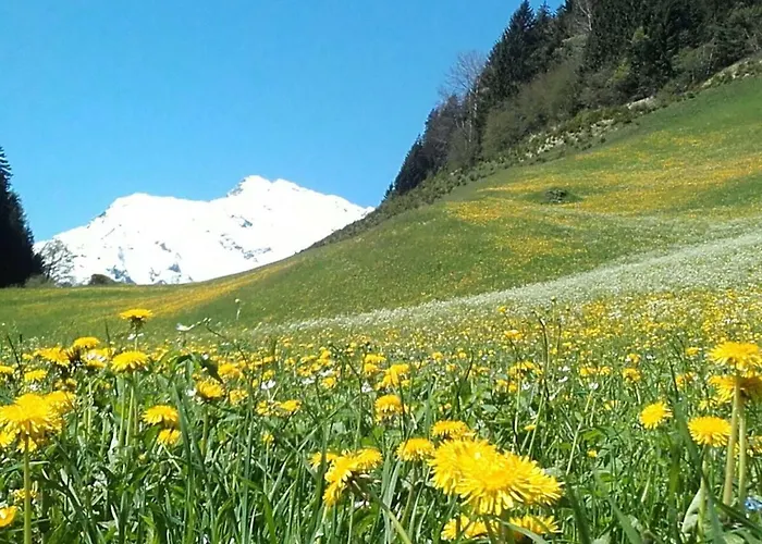 Astegger Talhof Lägenhet *