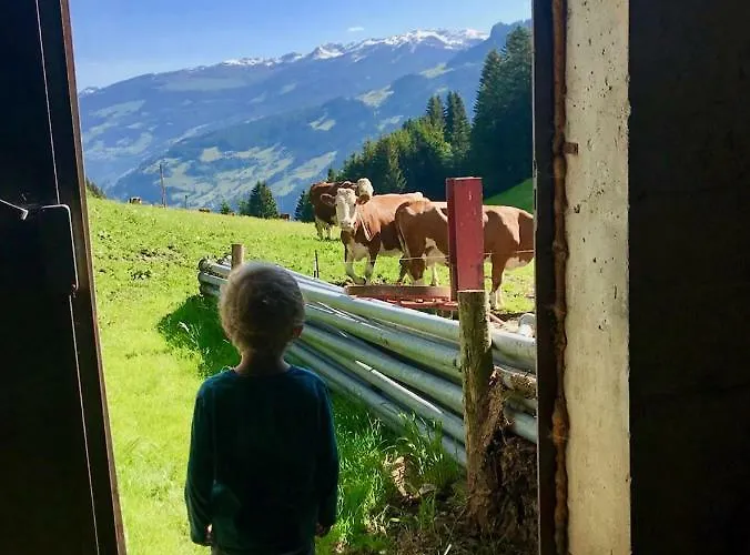 Astegger Talhof Finkenberg