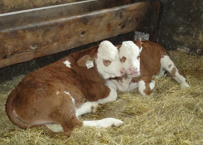 Apartamento Astegger Talhof